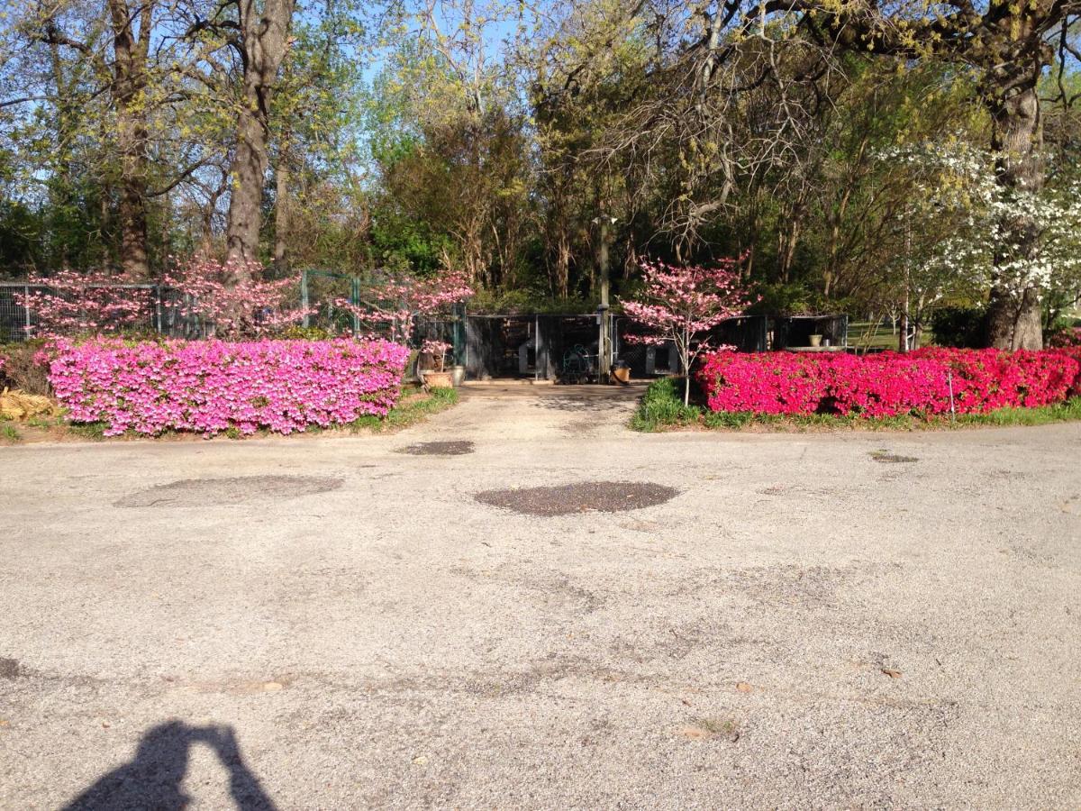 Dogwood Springs Lodgings Mineola ภายนอก รูปภาพ